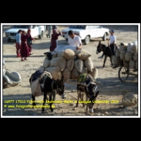 16977 17012 Fahrt nach Shahrisabs Markt in Sazagan Usbekistan 2010.JPG